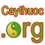 Caythuoc.org