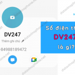 Số điện thoại DV247 là gì? Có phải lừa đảo không?